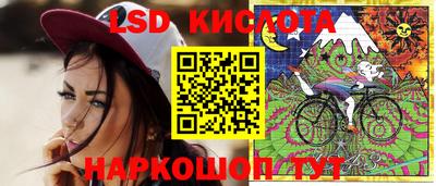 стаф Дубна