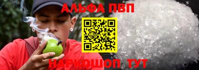 стаф Дубна