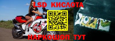 стаф Дубна