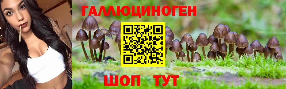 Галлюциногенные грибы ЛСД  Вход с VPN  Москва  Галлюциногенные грибы MAGIC MUSHROOMS 